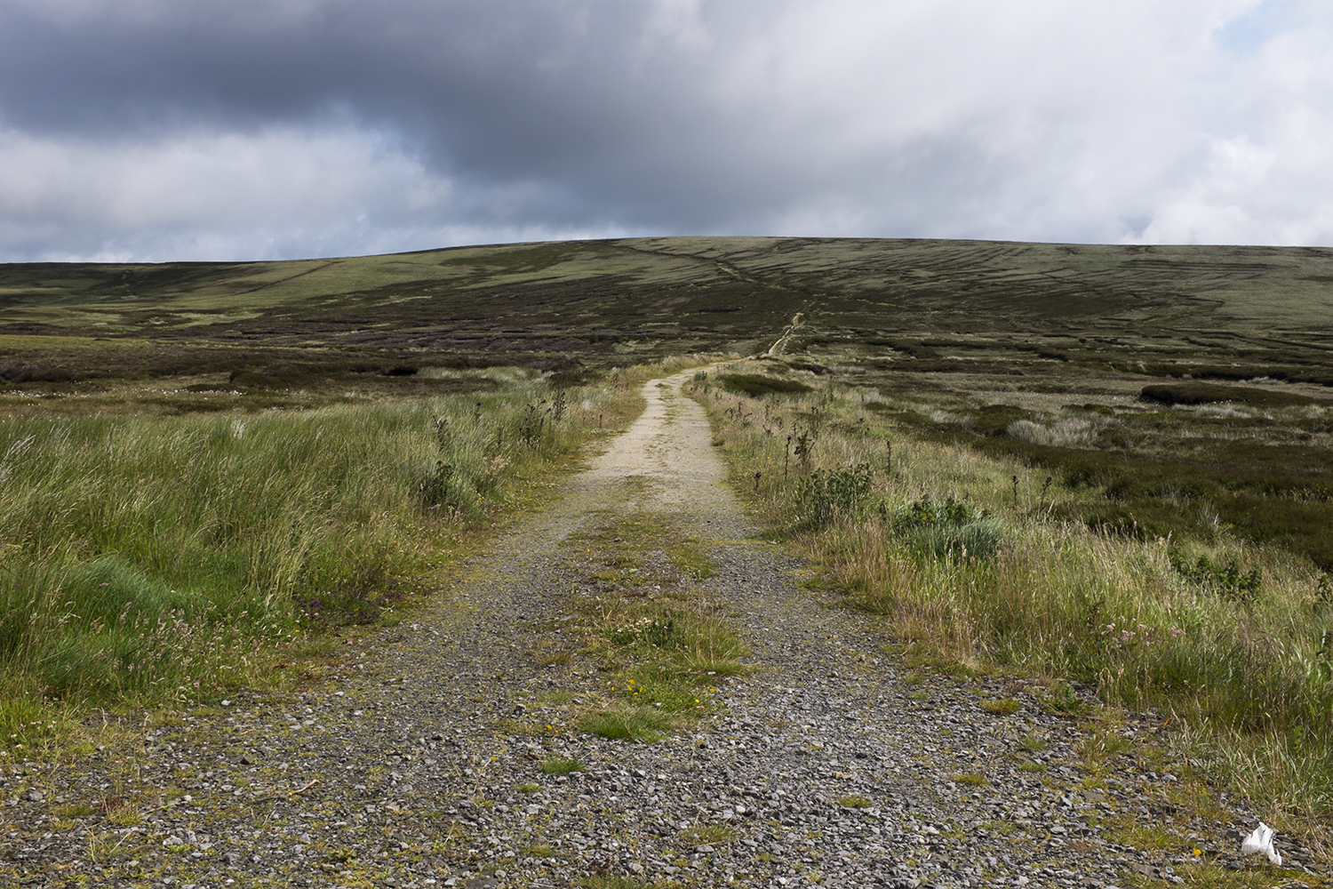Wicklow Mountains #2